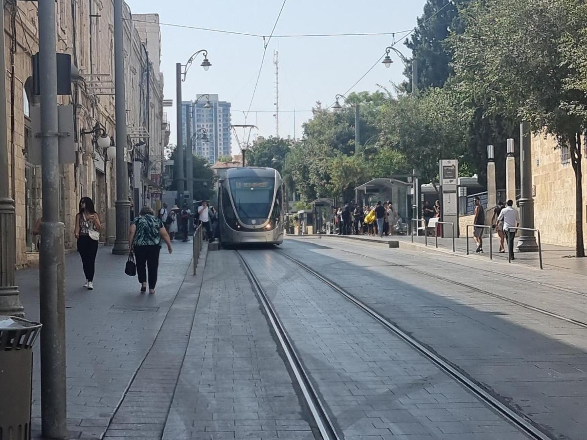 Jaffa 17 - Yahav *